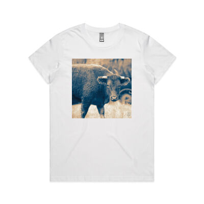The Steer - Ladies T  Thumbnail